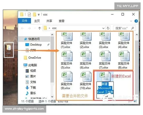 高效整理多个Excel文档的方法一步一步教你如何合并成一个完整数据表 高效整理多个Excel文档的方法一步一步教你如何合并成一个完整数据表